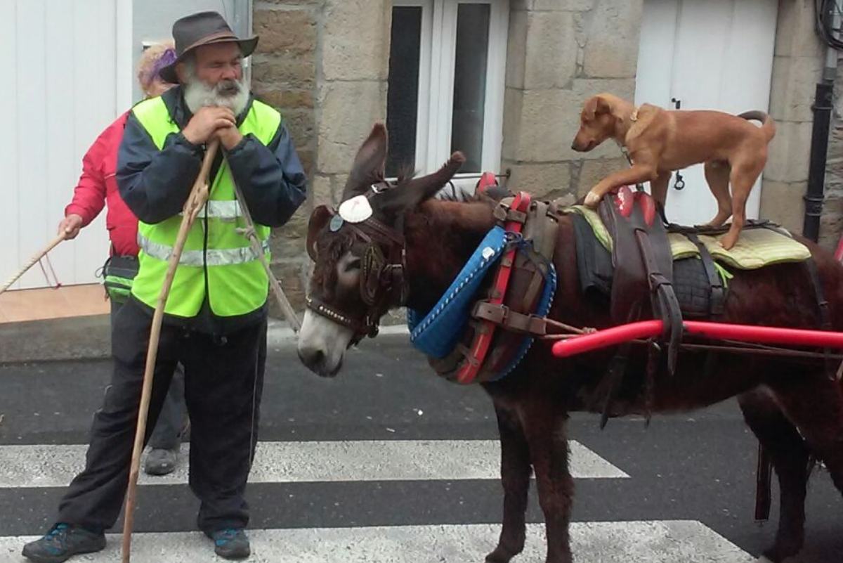 pintorescos-en-sarria